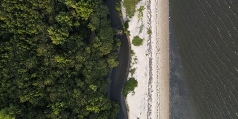 “Não existe Planeta B”, alerta astrofísico às vésperas da COP30