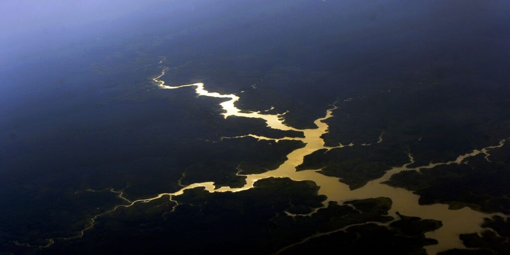 Captura de carbono na Amazônia está em risco, diz estudo