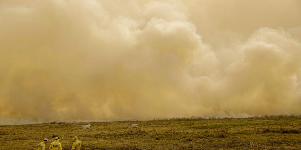 Calor já mata meio milhão de pessoas por ano, alertam cientistas