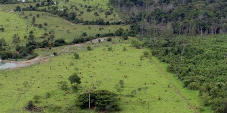projeto_rural_na_amazonia_-_pnud.jpg