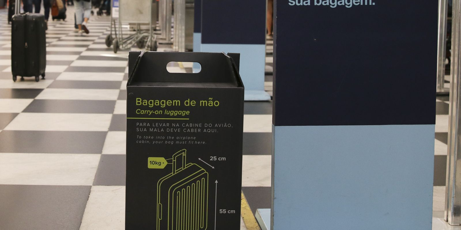 Senado aprova gratuidade para bagagem de mão em voos
