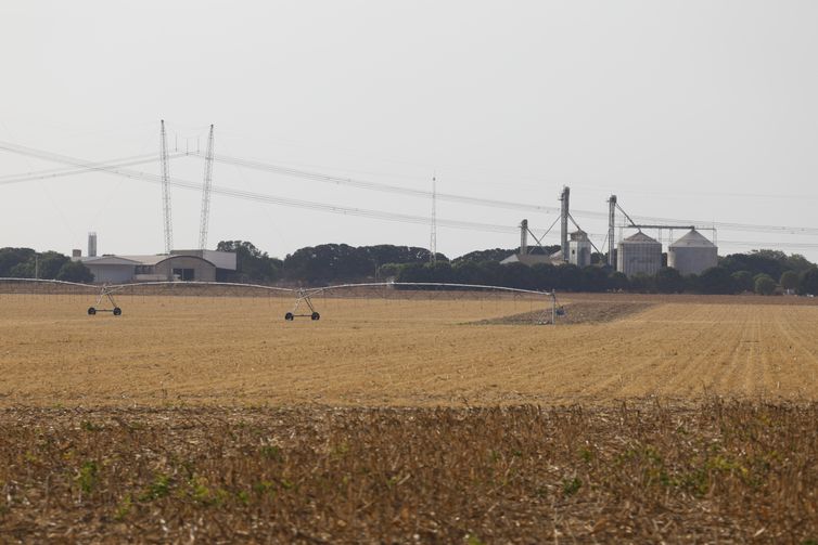 Balsas (MA), 09/10/2025 – Fazendas de cultivo de soja vistas ao longo da rodovia MA-140. Foto: Fernando Frazão/Agência Brasil