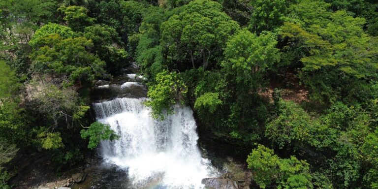 Fronteira Cerrado: ativistas pedem mesma prioridade dada à Amazônia
