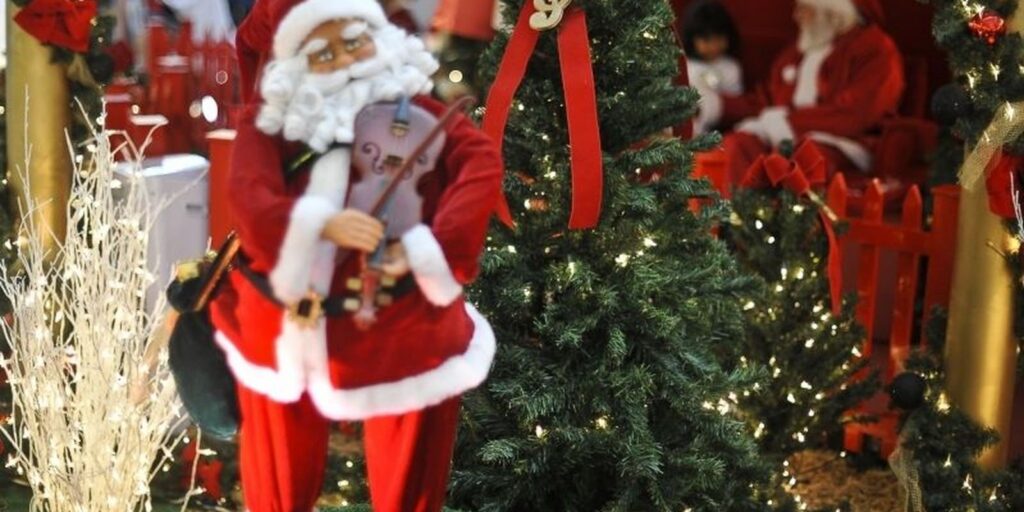 Hoje é Dia: Natal, ecologia e Cristina Buarque são destaques