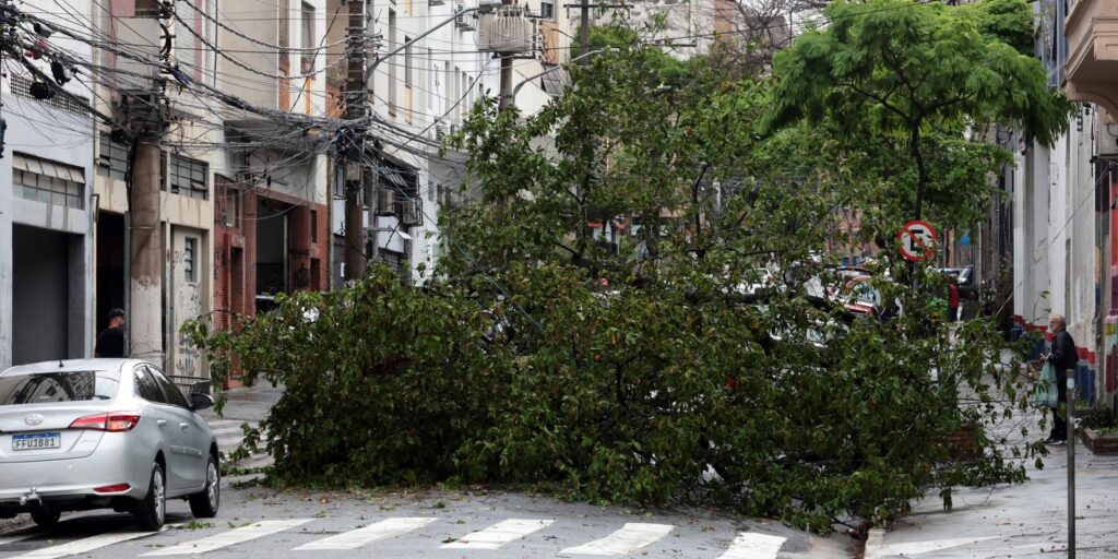 Prefeitura fecha todos os parques de São Paulo por causa dos ventos