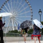 Europa: temperatura alta pode elevar transmissão do vírus Chikungunya