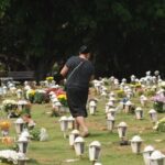 Cães e gatos podem ser sepultados em jazigos familiares em São Paulo