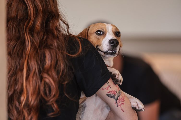 São Paulo (SP), 30/01/2026 - Adoção de Pets  na  Casa Adote na Vila Madalena em parceria com o Instituto Ampara Animal e a ONG Encontrei um Amigo.  Foto: Paulo Pinto/Agência Brasil