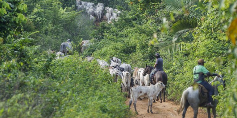 Atividade econômica brasileira cresce 2,5% em 2025