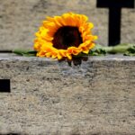 Caso de Itumbiara acende alerta para violência vicária; entenda