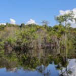 Governo levantou R$ 179 bi desde 2023 para transição ecológica