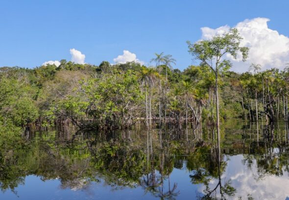 Governo levantou R$ 179 bi desde 2023 para transição ecológica