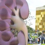 Dia Mundial do Rim: doenças renais são silenciosas e exigem atenção