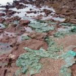 Rochas de plástico chegam a ninhos de tartarugas em ilha brasileira