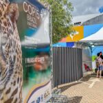 Conheça mais sobre a convenção para proteger espécies migratórias