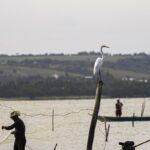 Sexto lote do seguro-defeso será disponibilizado na terça-feira