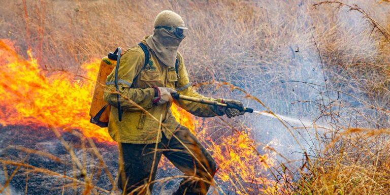 Governo divulga planejamento para enfrentar incêndios em 2026