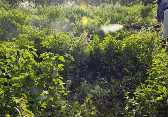 Comitê lista ações prioritárias para Programa de Redução de Agrotóxico