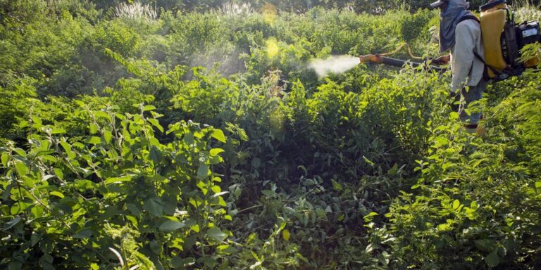 Comitê lista ações prioritárias para Programa de Redução de Agrotóxico