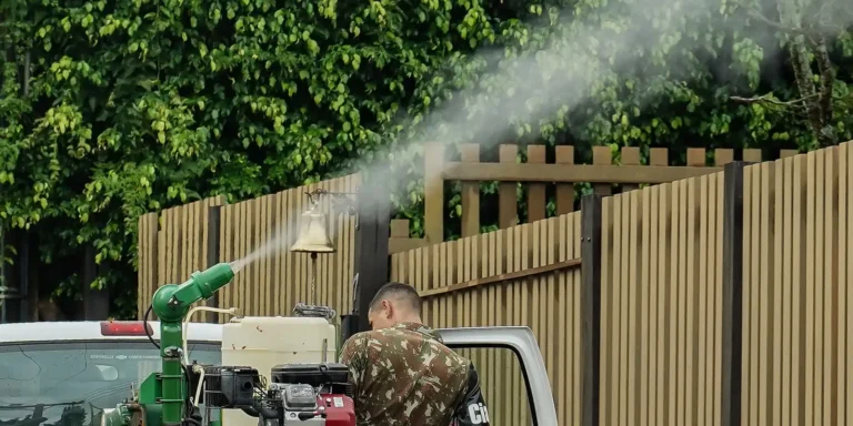 Mato Grosso do Sul vai receber vacina em projeto contra chikungunya