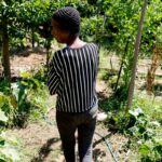 Horta comunitária reúne memória, cuidado e cidadania em favela do Rio