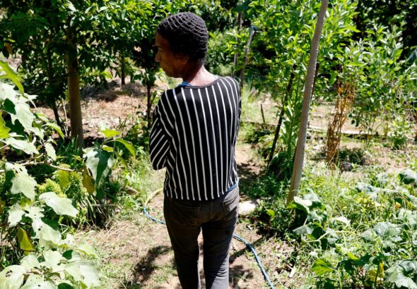 Horta comunitária reúne memória, cuidado e cidadania em favela do Rio