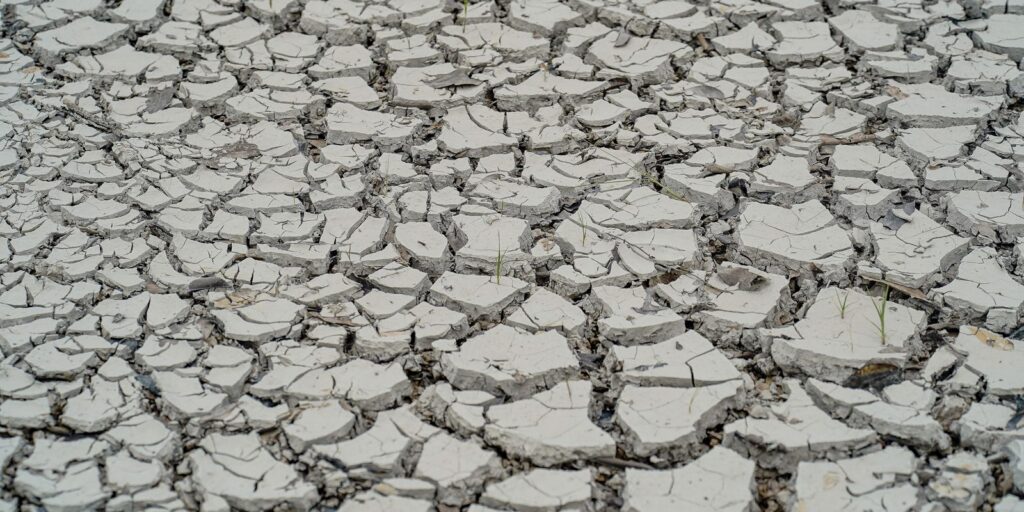 Estiagem: quinze cidades têm situação de emergência decretada