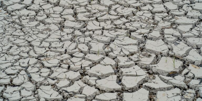 Estiagem: quinze cidades têm situação de emergência decretada