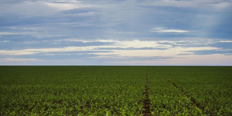 Fazenda estuda Fundo Garantidor para dívidas rurais