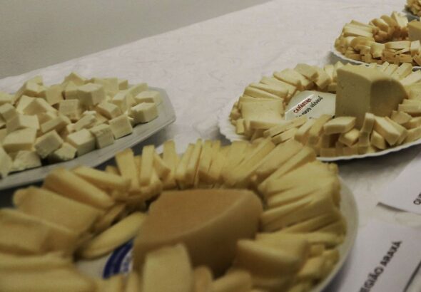 Brasil começa a importar queijo mais barato após acordo Mercosul–UE