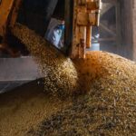 Economia brasileira cresce 1,1% no 1º trimestre