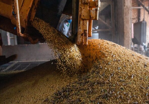 Economia brasileira cresce 1,1% no 1º trimestre