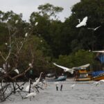 Amazônia Soberana: programa vai combater crimes em áreas de fronteira
