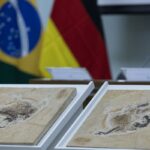 Brasil quer recuperar dinossauros e patrimônios que estão em 14 países