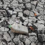 Austrália afirma que El Niño deve ser o mais forte das últimas décadas