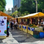 Cooperativas são reconhecidas como manifestação da cultura nacional