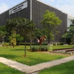 Mais de 70 mulheres tiveram mandatos cassados em 10 anos no país