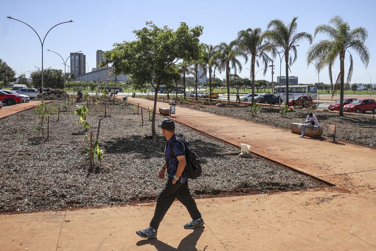 Brasília (DF), 29/06/2026 - SESI Lab, museu de arte, ciência e tecnologia em Brasília, implanta sistema agroecológico educativo em sua área externa, transformando o espaço urbano em um laboratório vivo de aprendizagem em sustentabilidade, biodiversidade e agroecologia. Foto: Marcelo Camargo/Agência Brasil