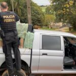 Comércio ilegal de cigarros eletrônicos e convencionais é alvo da PF