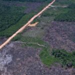 Eco Invest Brasil promove quinto leilão para financiar inovação