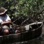 INSS paga em julho R$ 874 milhões a 149,5 mil pescadores
