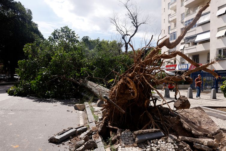 Rio de Janeiro (RJ), 30/07/2026 - Estragos provocados pelos fortes ventos que atingiram a cidade  na tarde desta quarta-feira (29).  Foto: Tânia Rêgo/Agência Brasil