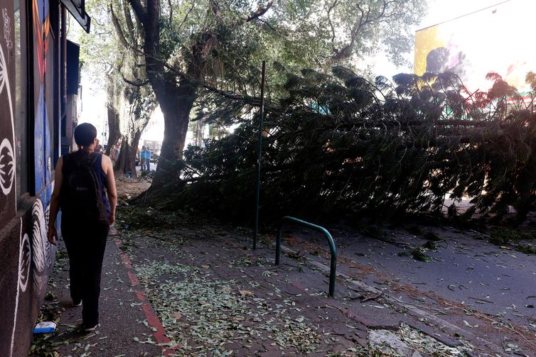 Rio de Janeiro (RJ), 30/07/2026 - Estragos provocados pelos fortes ventos que atingiram a cidade  na tarde desta quarta-feira (29). Árvore caída bloqueia passagem em Botafogo. Foto: Tânia Rêgo/Agência Brasil