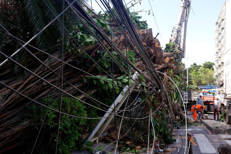 Rio de Janeiro (RJ), 30/07/2026 - Estragos provocados pelos fortes ventos que atingiram a cidade  na tarde desta quarta-feira (29). Árvore caí em frente ao Hospital Pró-Cardíaco, em Botafogo, destruindo portão e fiação Foto: Tânia Rêgo/Agência Brasil