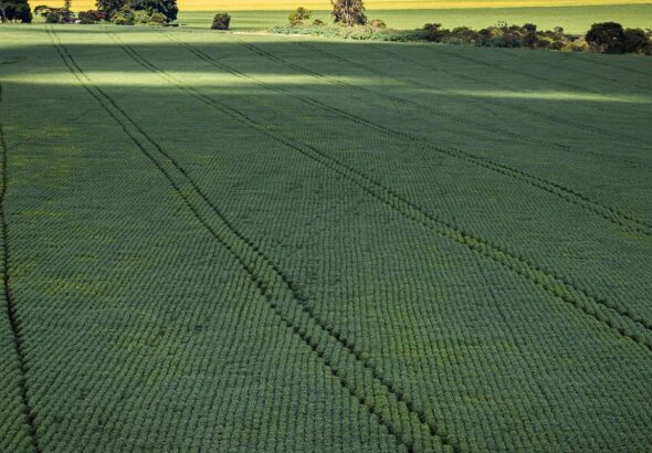 Senado aprova plano para fabricação de fertilizantes no Brasil