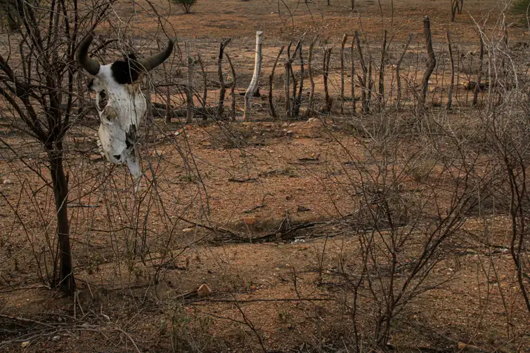 Desertificação no Brasil ameaça água, alimento, clima e biodiversidade.  Nordeste brasileiro é o mais afetado pelos processos de seca e desertificação. Crédito: ASA / Divulgação