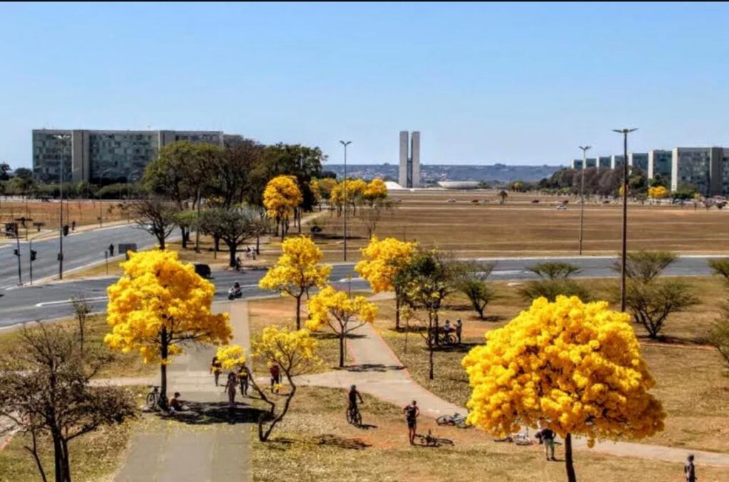 Fonte - Acervo do evento