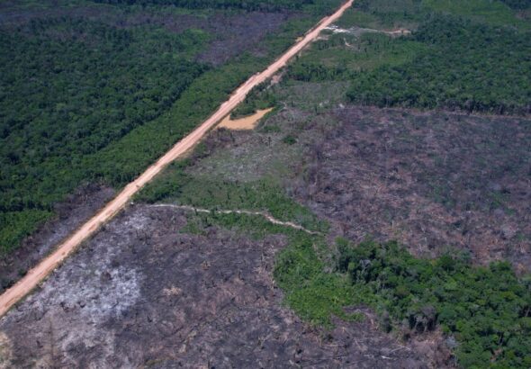 Desmatamento na Amazônia cai 36,87% no último ano
