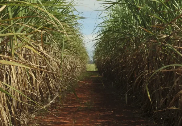 Conselho eleva limite de remuneração do Eco Invest Brasil