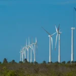 Projeto mapeia caminhos para economia verde no Nordeste